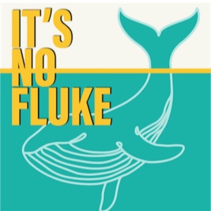 It's No Fluke podcast artwork